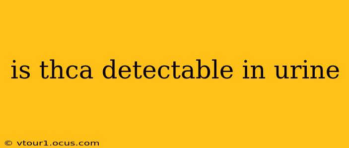 is thca detectable in urine