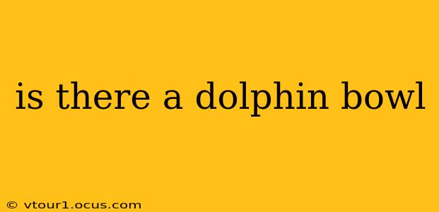 is there a dolphin bowl