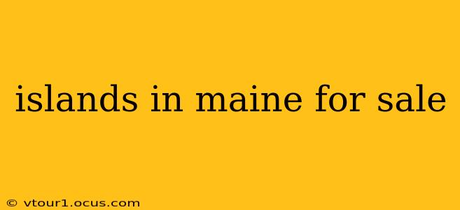 islands in maine for sale