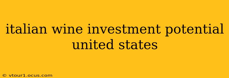 italian wine investment potential united states