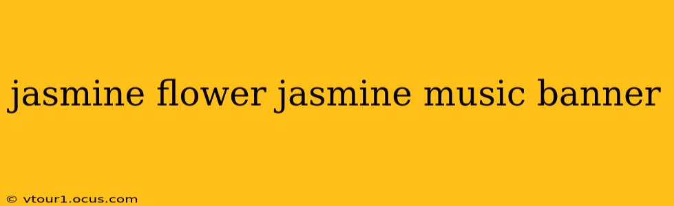 jasmine flower jasmine music banner