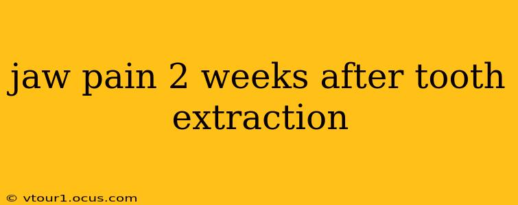 jaw pain 2 weeks after tooth extraction