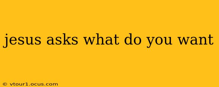jesus asks what do you want