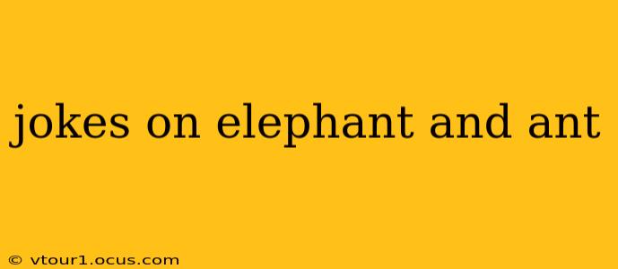 jokes on elephant and ant