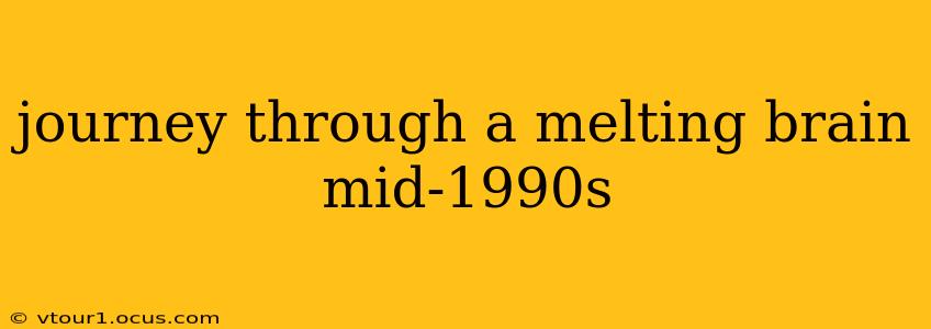 journey through a melting brain mid-1990s