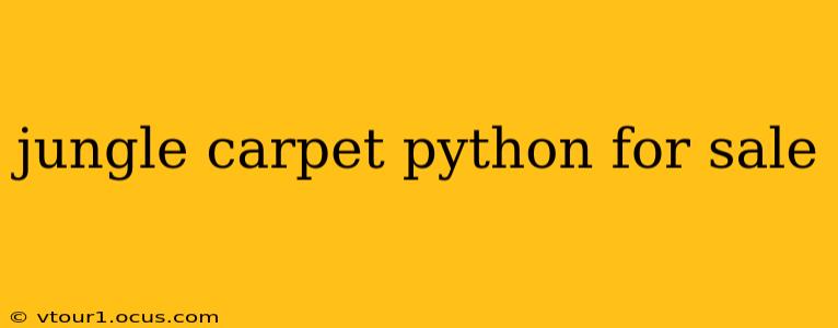 jungle carpet python for sale