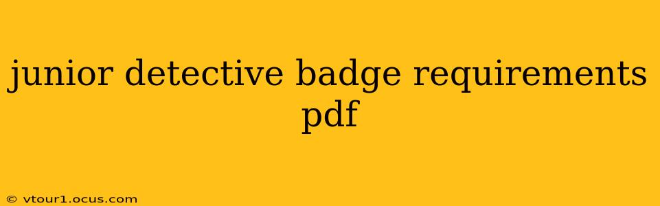 junior detective badge requirements pdf