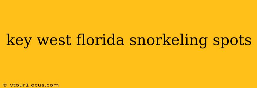 key west florida snorkeling spots