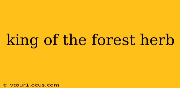 king of the forest herb