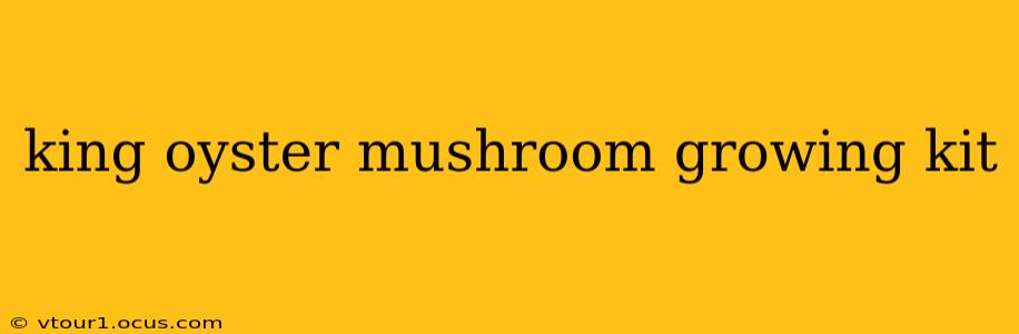 king oyster mushroom growing kit