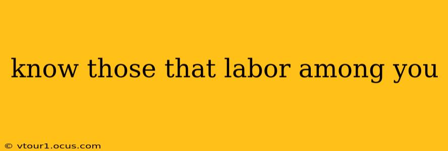 know those that labor among you