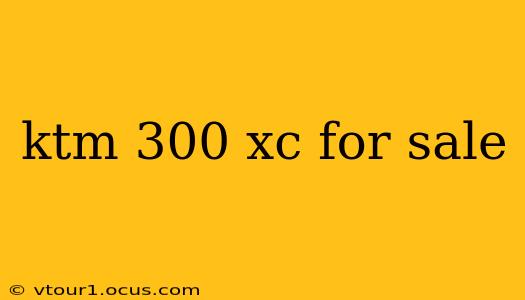 ktm 300 xc for sale