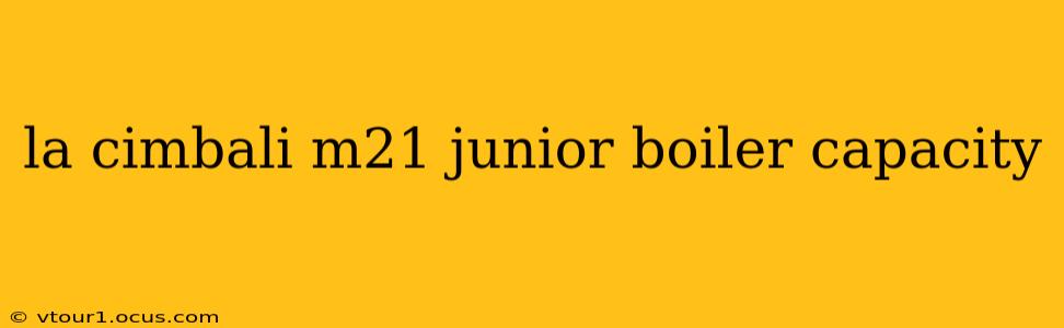 la cimbali m21 junior boiler capacity