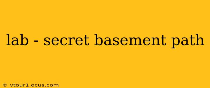 lab - secret basement path