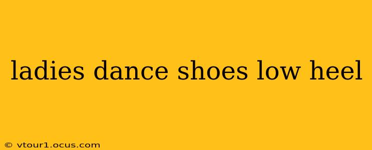 ladies dance shoes low heel