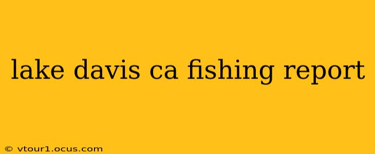 lake davis ca fishing report