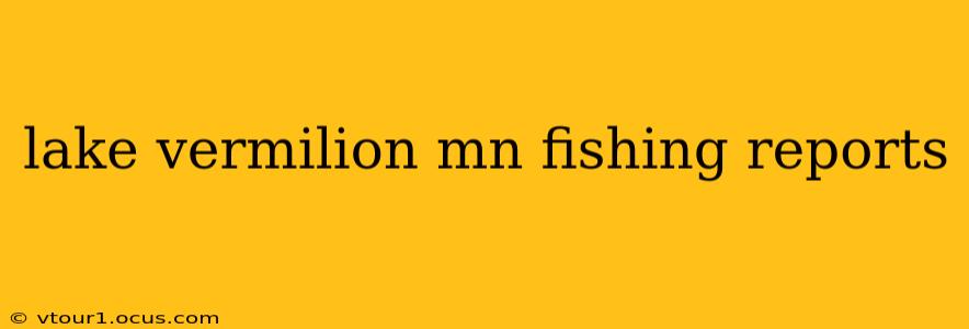 lake vermilion mn fishing reports