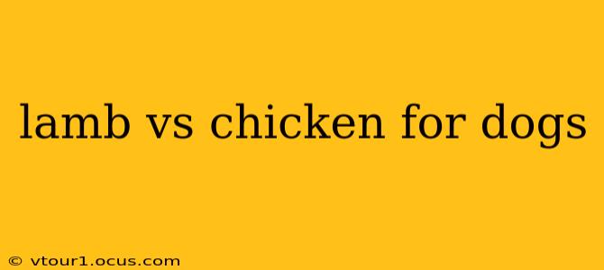 lamb vs chicken for dogs