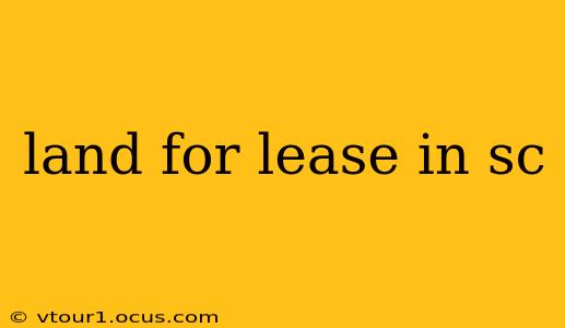 land for lease in sc