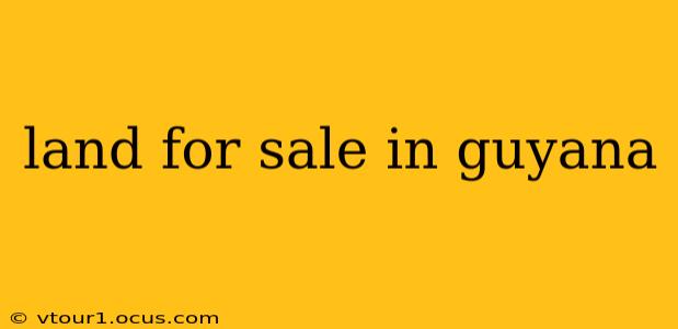 land for sale in guyana
