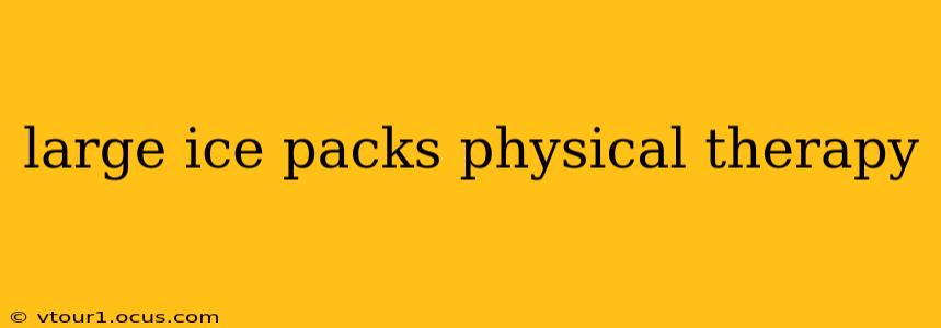 large ice packs physical therapy