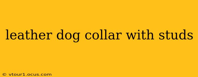 leather dog collar with studs