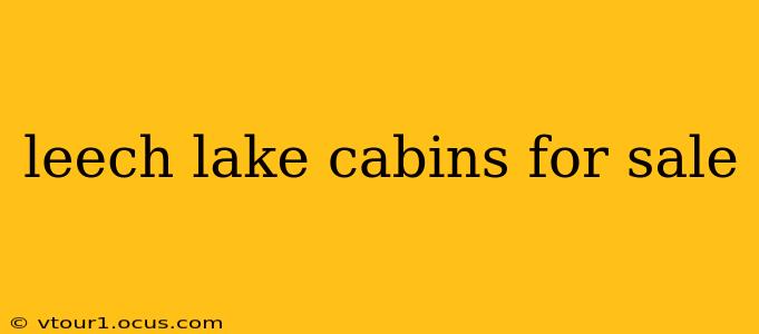 leech lake cabins for sale