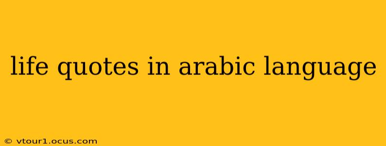 life quotes in arabic language