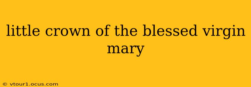 little crown of the blessed virgin mary