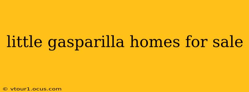 little gasparilla homes for sale