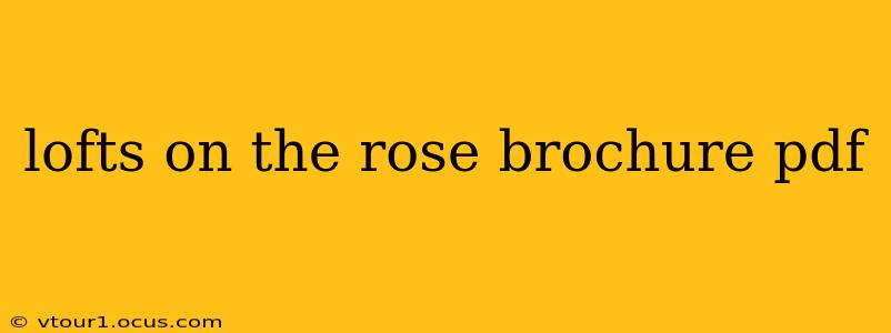 lofts on the rose brochure pdf