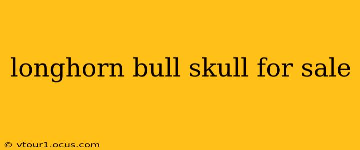longhorn bull skull for sale