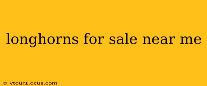 longhorns for sale near me