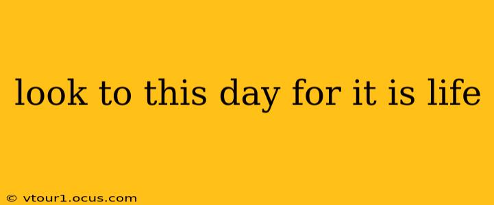 look to this day for it is life