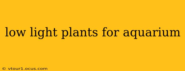 low light plants for aquarium