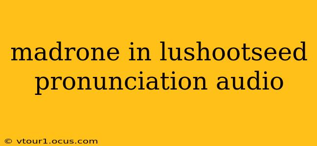 madrone in lushootseed pronunciation audio