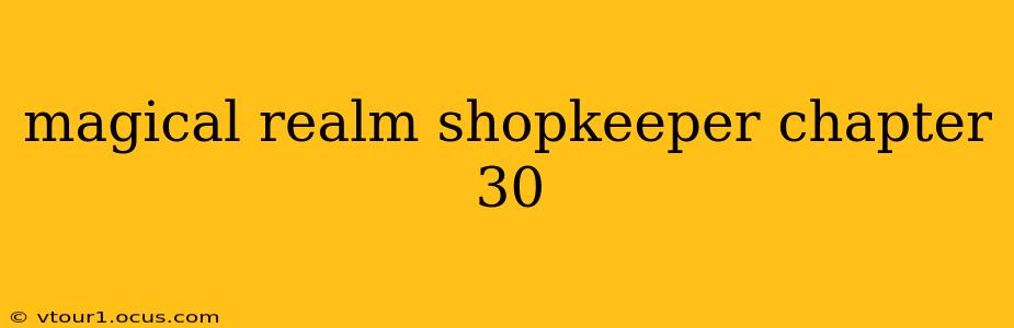 magical realm shopkeeper chapter 30