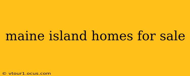 maine island homes for sale