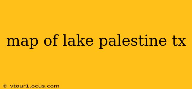 map of lake palestine tx
