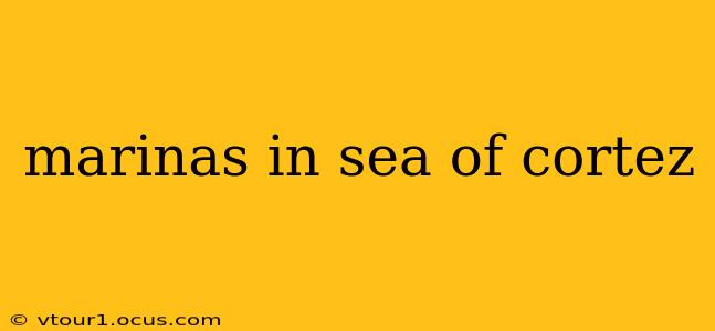 marinas in sea of cortez