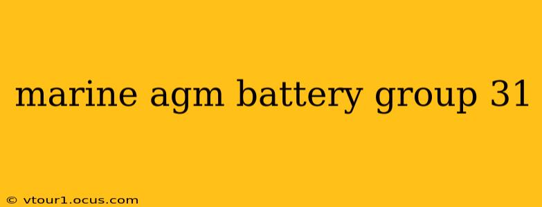 marine agm battery group 31