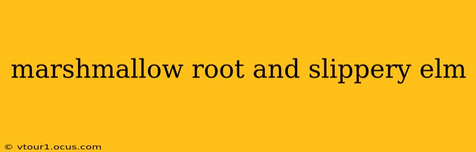marshmallow root and slippery elm