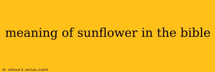 meaning of sunflower in the bible