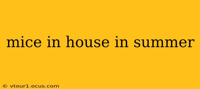 mice in house in summer