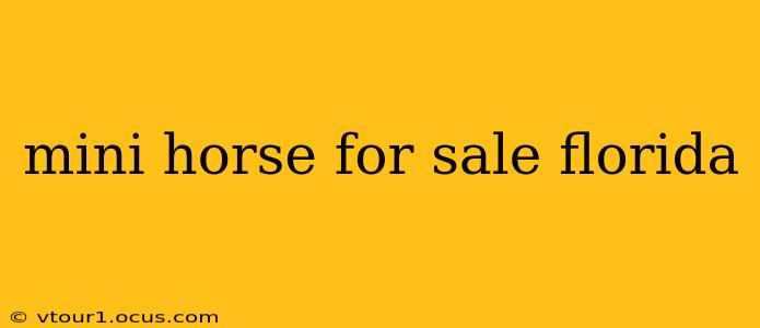 mini horse for sale florida