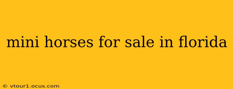 mini horses for sale in florida