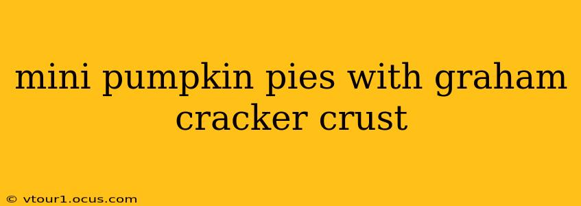 mini pumpkin pies with graham cracker crust
