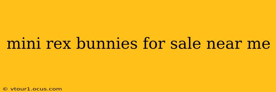 mini rex bunnies for sale near me