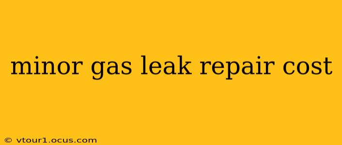 minor gas leak repair cost