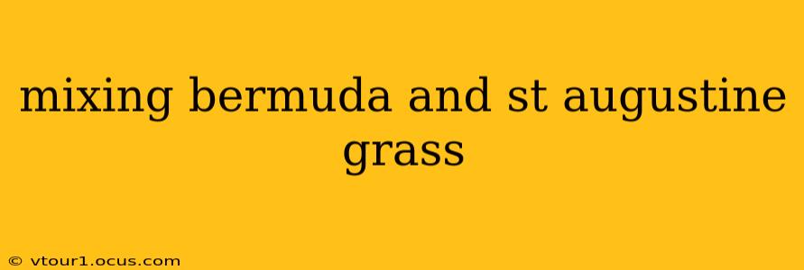 mixing bermuda and st augustine grass